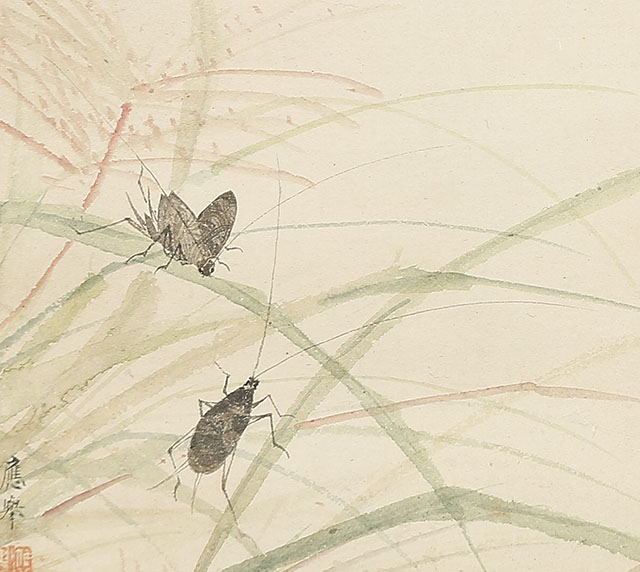 Insects on Dayflowers and Pampas Grass