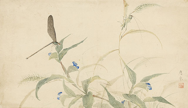 Insects on Dayflowers and Pampas Grass