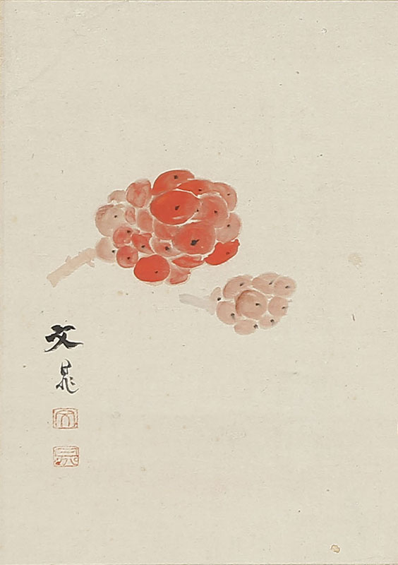 枇杷図