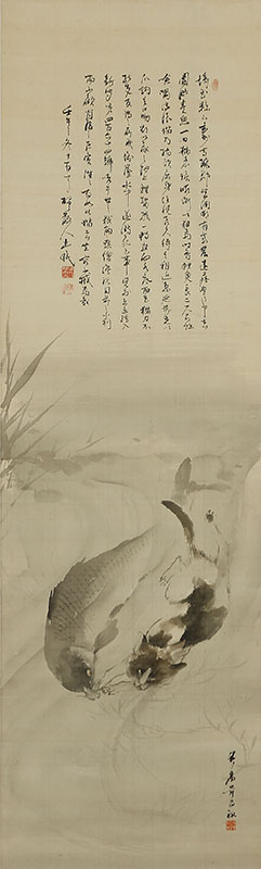 Cat Catching a Carp