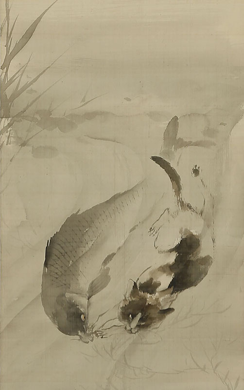 Cat Catching a Carp