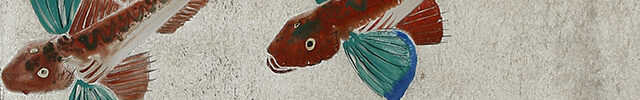 遊魚図