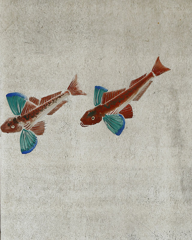 遊魚図