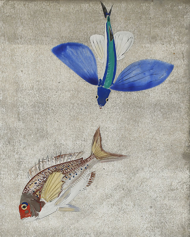 遊魚図