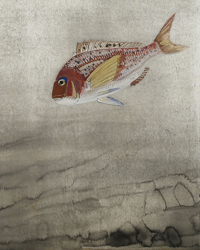 遊魚図