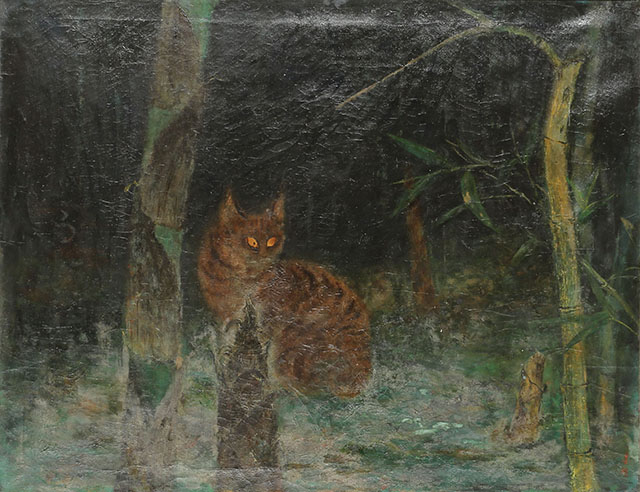 Cat