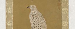 Falcon
