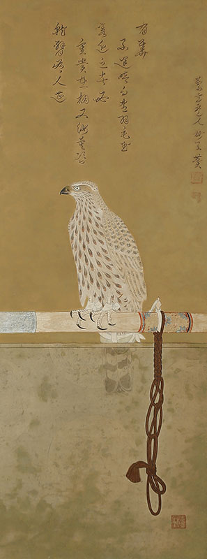 Falcon