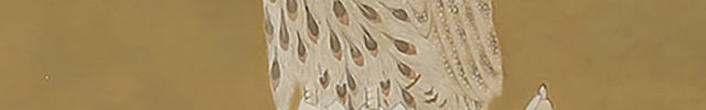 Falcon