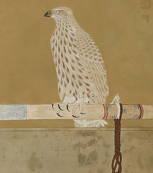 Falcon