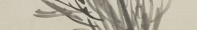 Brushwood Gathering with Haiku