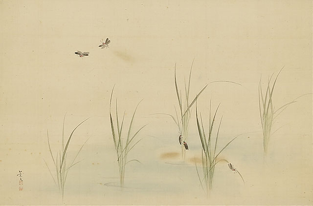 Fireflies