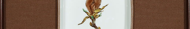 Magnolia with framed color plate