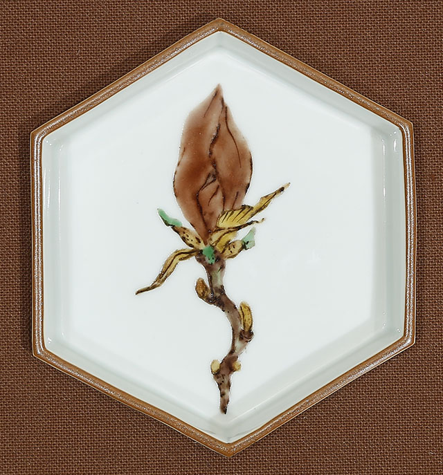 Magnolia with framed color plate