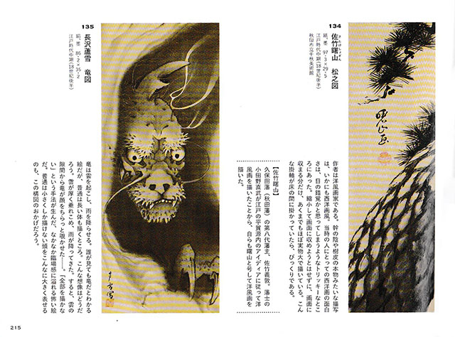 真向龍之図