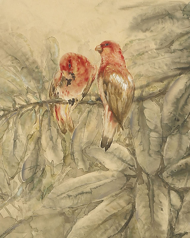 Parrots on the Tree Branch