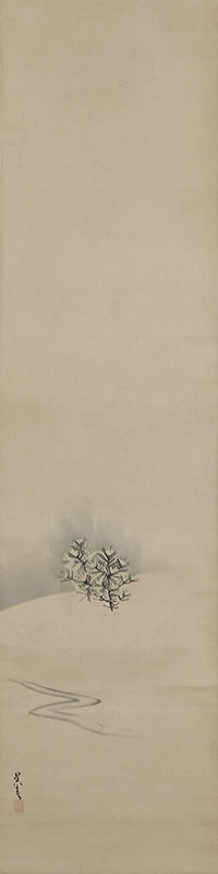 Young Pine in Snowy Landscape