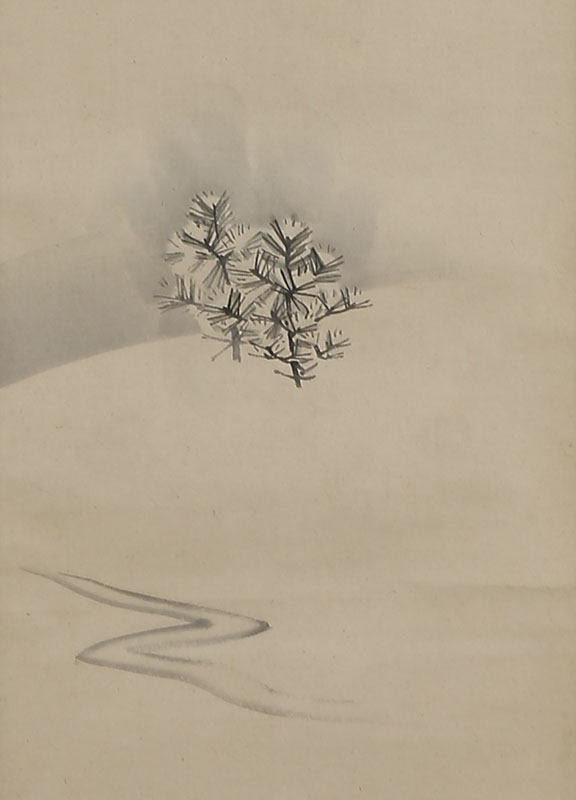 Young Pine in Snowy Landscape
