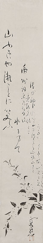 桜山吹