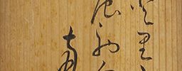 桜山吹