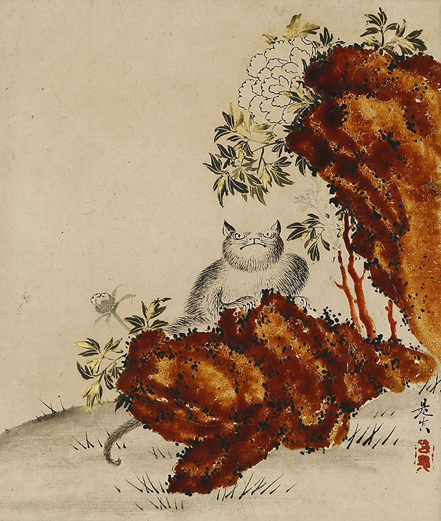 牡丹に猫図