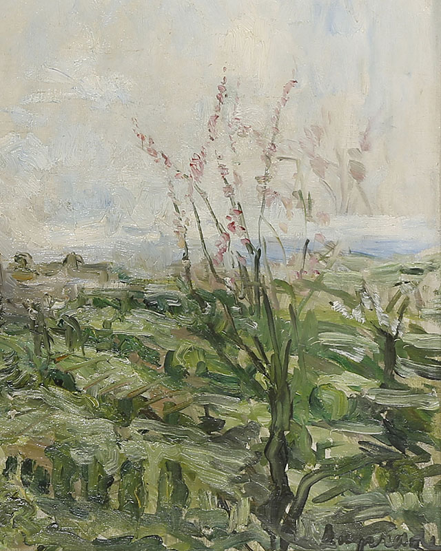 Sanlis