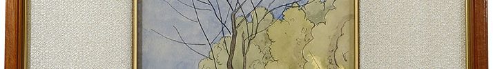 郊野