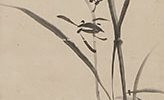 蘭 維摩 竹