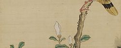 辛夷黄鳥図(安永2年)