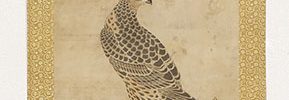Falcon