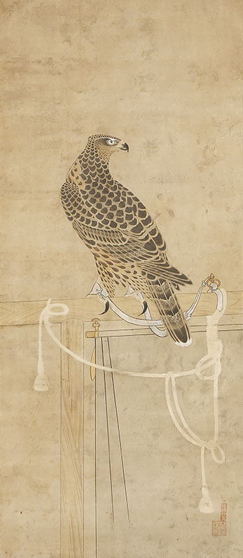 Falcon