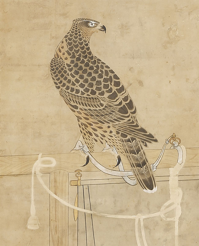 Falcon