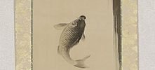 Ascending Carp