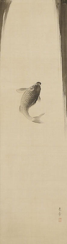 Ascending Carp