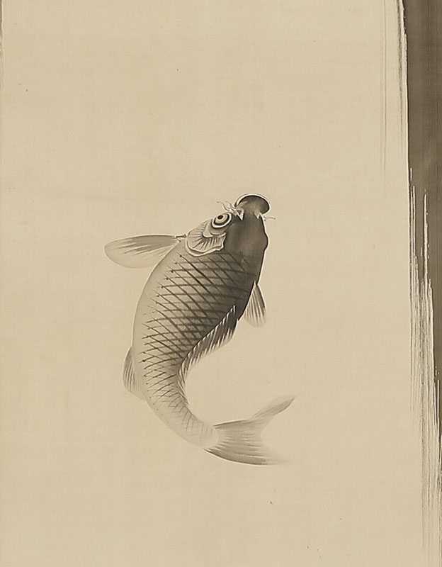 Ascending Carp