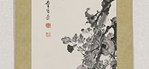 蟾蜍木通之図