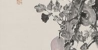 蟾蜍木通之図
