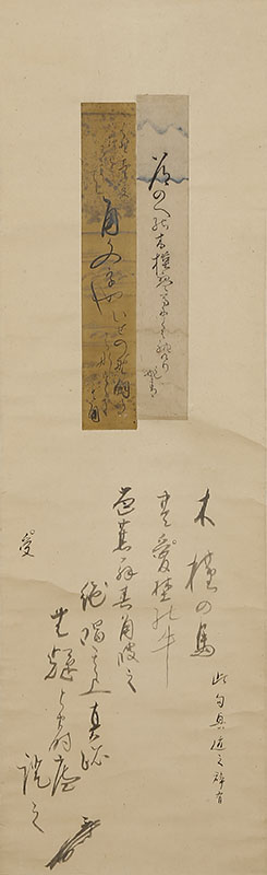 Two Haiku - Althea and Japanese Pampas