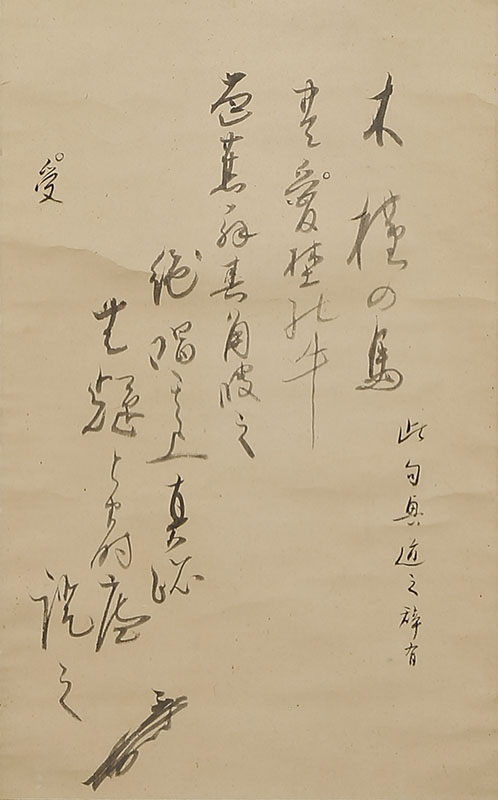 Two Haiku - Althea and Japanese Pampas