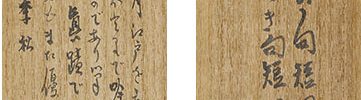Two Haiku - Althea and Japanese Pampas