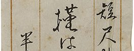 Two Haiku - Althea and Japanese Pampas