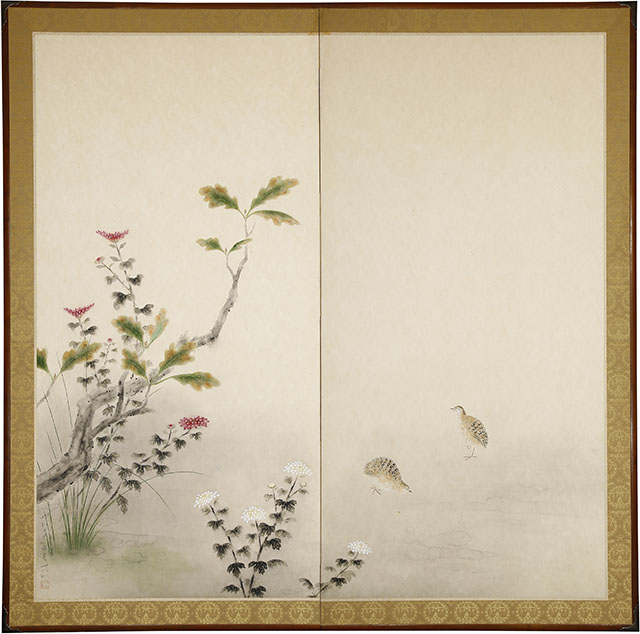 菊花鶉図