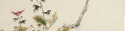 菊花鶉図