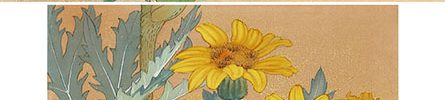 Flowers (1978, 30 original paintings, a pair of screens)
