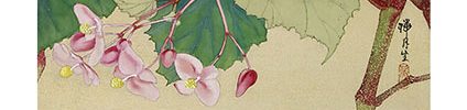 Flowers (1978, 30 original paintings, a pair of screens)