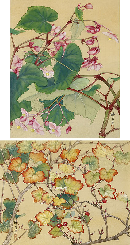 Flowers (1978, 30 original paintings, a pair of screens)