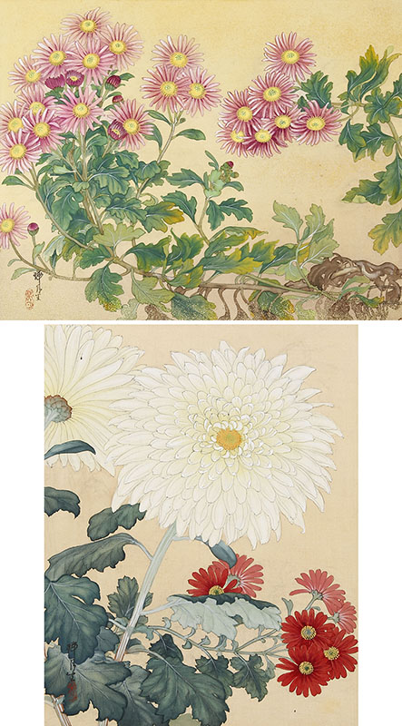 Flowers (1978, 30 original paintings, a pair of screens)