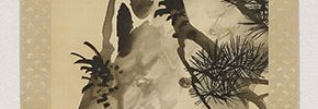 Old Pine Tree