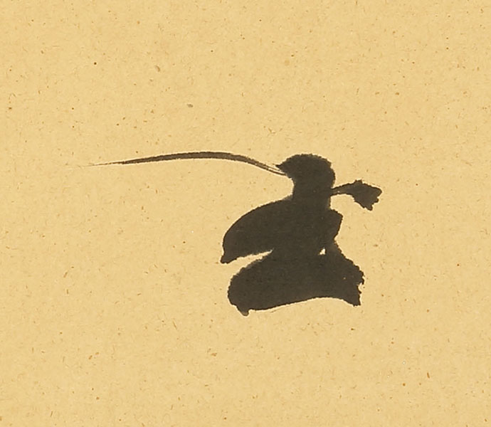 Calligraphy