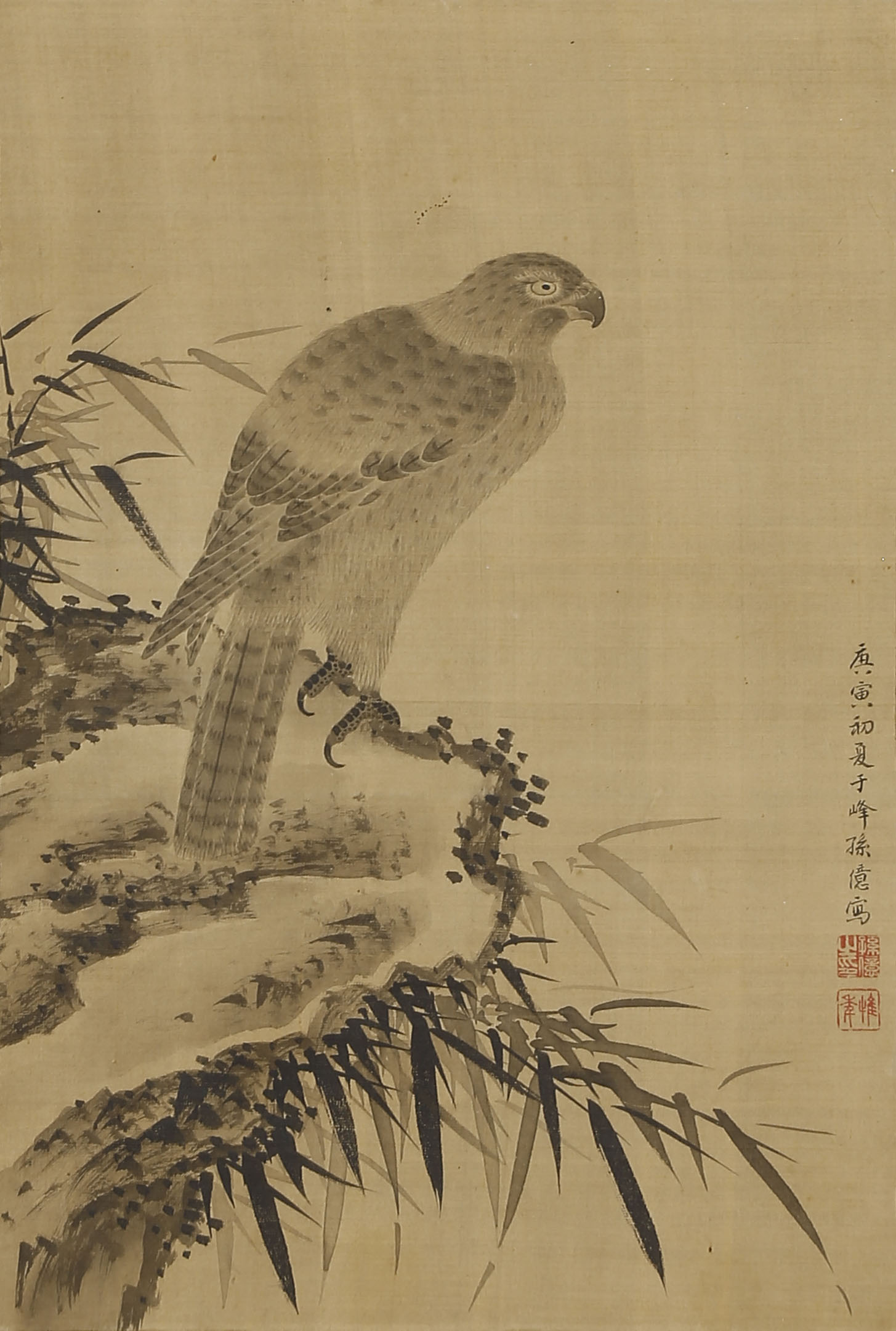 鷹図(宝永7年)